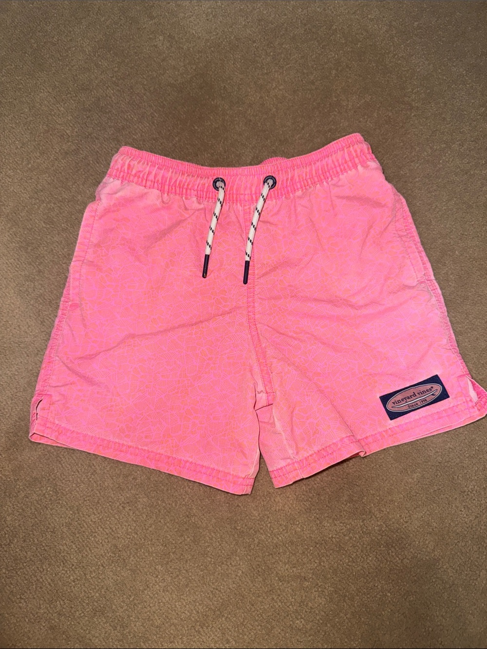 Vineyard Vines Men's Bright Pink Hybrid Shorts